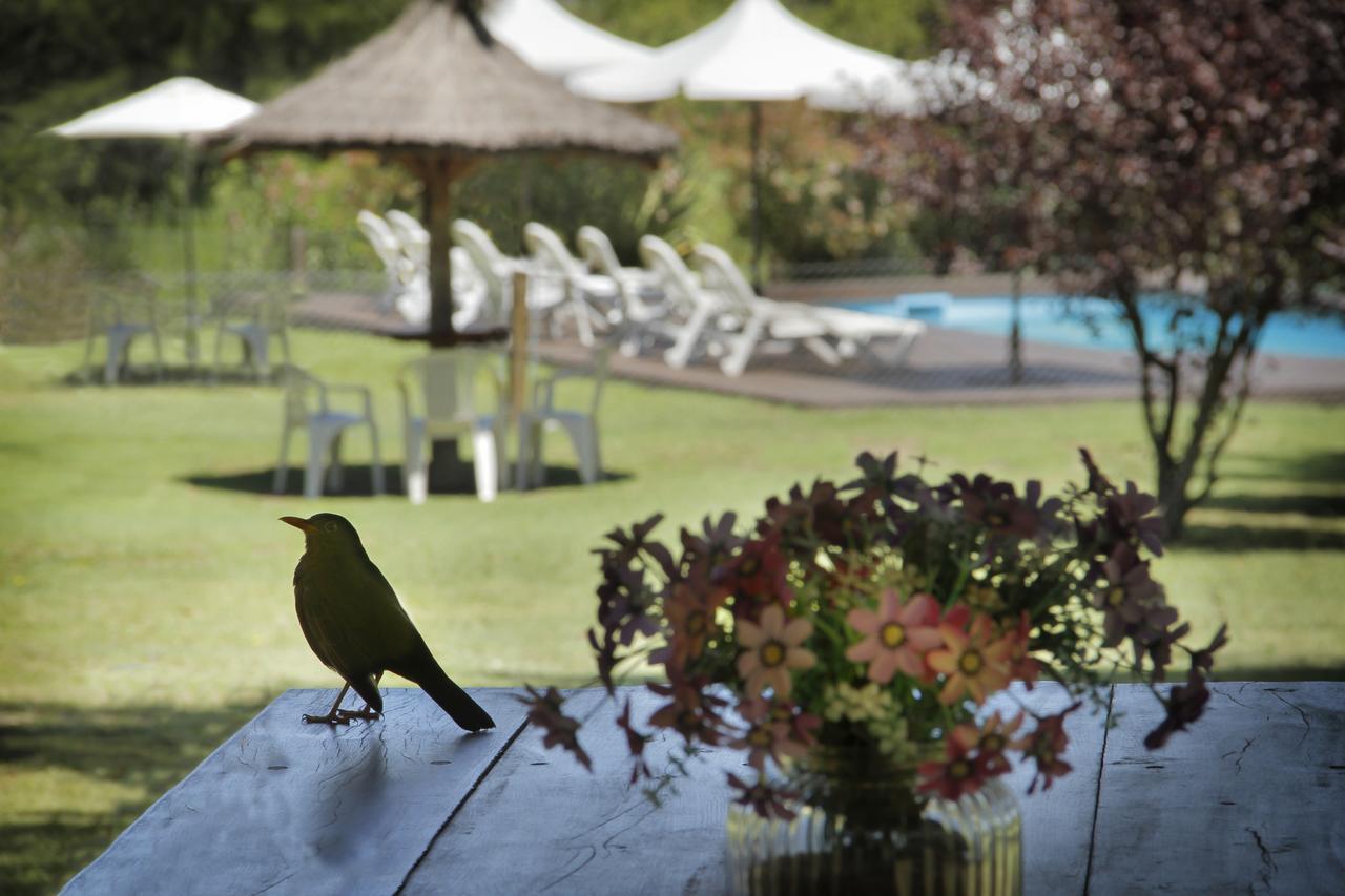 De Campo Boutique, Sushi & - Solo Adultos Hotel Villa General Belgrano